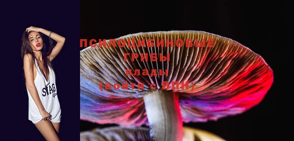PSILOCYBIN Алексин