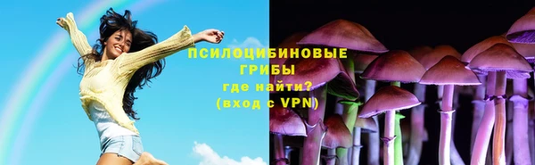 дживик Алзамай