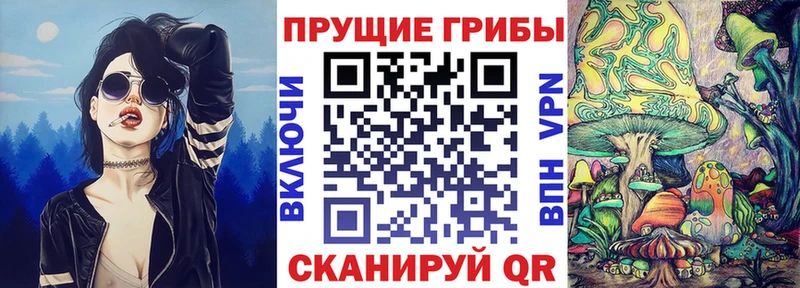 Купить где  Киров  Галлюциногенные грибы ЛСД 