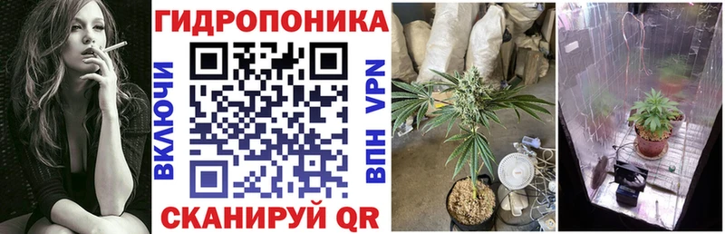 Купить  Киров  Бошки Шишки гибрид 